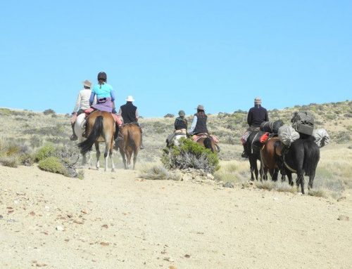 Bariloche: El turismo extranjero demanda cabalgatas